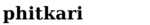 cropped phitkari store logo.png